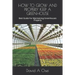 How to Grow and Properly Keep a Greenhouse: Best Guide For Maintaining Greenhouses Properly