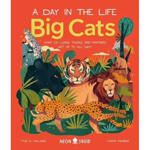 Big Cats (a Day in the Life): What Do Lions, Tigers, and Panthers Get Up to All Day? - Hardcover