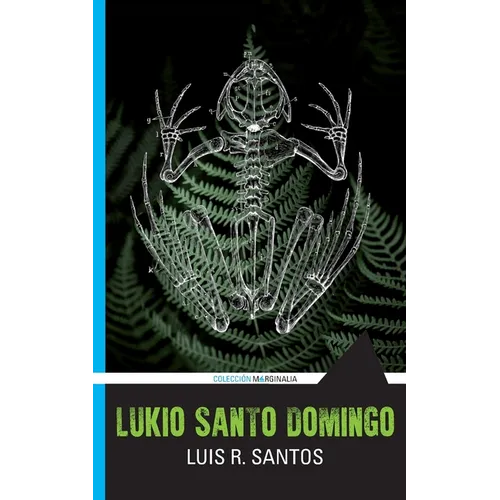 Lukio Santo Domingo