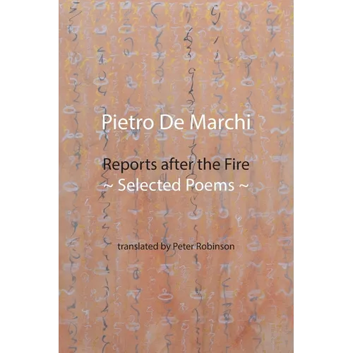 Reports after the Fire: Selected Poems