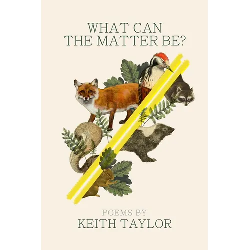 What Can the Matter Be?