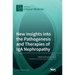 New Insights into the Pathogenesis and Therapies of IgA Nephropathy
