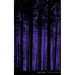 Night Vision