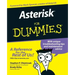 Asterisk For Dummies