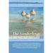 The Sanderlings
