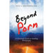 Beyond Porn: A Christian's Guide to Avoiding Pornography