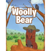Woolly Bear