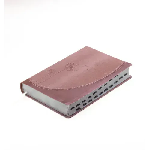 Biblia Para Mujeres Reina Valera 1960 - de Promesas Inspira Letra Gigante (13 Pts) Piel Especial Con Índice Rosa Dorado Spanish Promise Bible with Ind