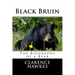 Black Bruin