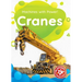 Cranes