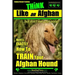 Afghan Hound Training THiNK like an Afghan but don't eat your poop!: Here's EXACTLY How To TRAIN Your Afghan Hound