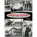 Saratoga Springs; a Memoir of the 40'S and 50'S