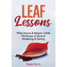 Leaf Lessons: When Trauma & Religion Collide, The Process of Spiritual Awakening & Healing