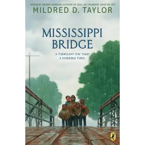Mississippi Bridge