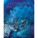 Underwater Photography: By Vincenzo Paolillo