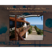 Building a Home that Loves You: A Post and Beam Architectural Philosophy