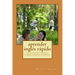aprender inglés rápido: Cursos para principiantes, para recuperar el nivel y de nivel intermedio, gramática, entrenamiento de verbos, vocabula