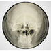 Bone Music: Soviet X-Ray Audio
