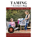 Taming the Lecture Bug