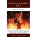 Little Blue Marble 2023: World on Fire