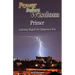 Power Before Wisdom Primer: Learning Magick the Dangerous Way