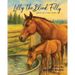 Lilly the Blind Filly