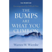 The Bumps Are What You Climb on: Encouragement for Difficult Days