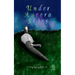 Under Aurora Skies