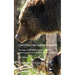 Can't Chew the Leather Anymore: Musings on Wildlife Conservation in Yellowstone from a Broken-down Biologist