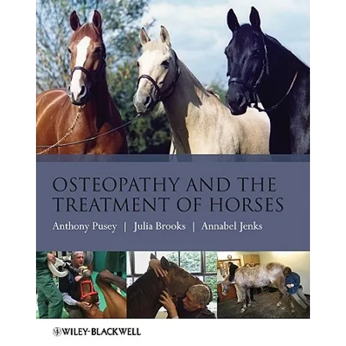 Osteopathy Treatment Horses