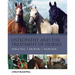 Osteopathy Treatment Horses