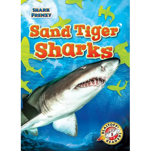 Sand Tiger Sharks