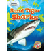 Sand Tiger Sharks