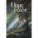 Hope in the Forest: My time in the Motels