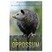 The Oppossum: The Untold Life of a Misunderstood Marsupial