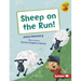Sheep on the Run!