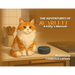 The Adventures of SCARLETT: A Kitty's Memoir