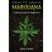 How to Grow Marijuana: A Simple Guide for Beginners