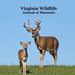 Virginia Animals and Mammals Kids Wildlife Book: Great Wildlife Book about Animals and Mammals in Virginia
