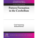 Pattern Formation in the Cerebellum
