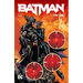 Batman by Tom King Book One