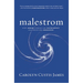 Malestrom: How Jesus Dismantles Patriarchy and Redefines Manhood