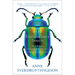 Extraordinary Insects: The Fabulous, Indispensable Creatures Who Run Our World