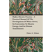 Hydro-Electric Practice - A Practical Manual Of The Development Of Water Power, Its Conversion To Electric Energy, And Its Distant Transmission