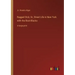 Ragged Dick; Or, Street Life in New York with the Boot-Blacks: in large print