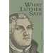 What Luther Says