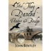 And They Danced Under The Bridge: A Novel Of 14th Century Avignon