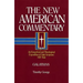 Galatians: An Exegetical and Theological Exposition of Holy Scripture Volume 30