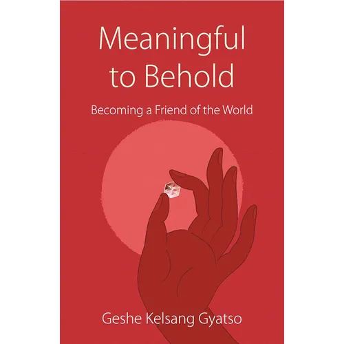 Meaningful to Behold: Becoming a Friend of the World