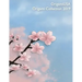 Origami Collection 2019